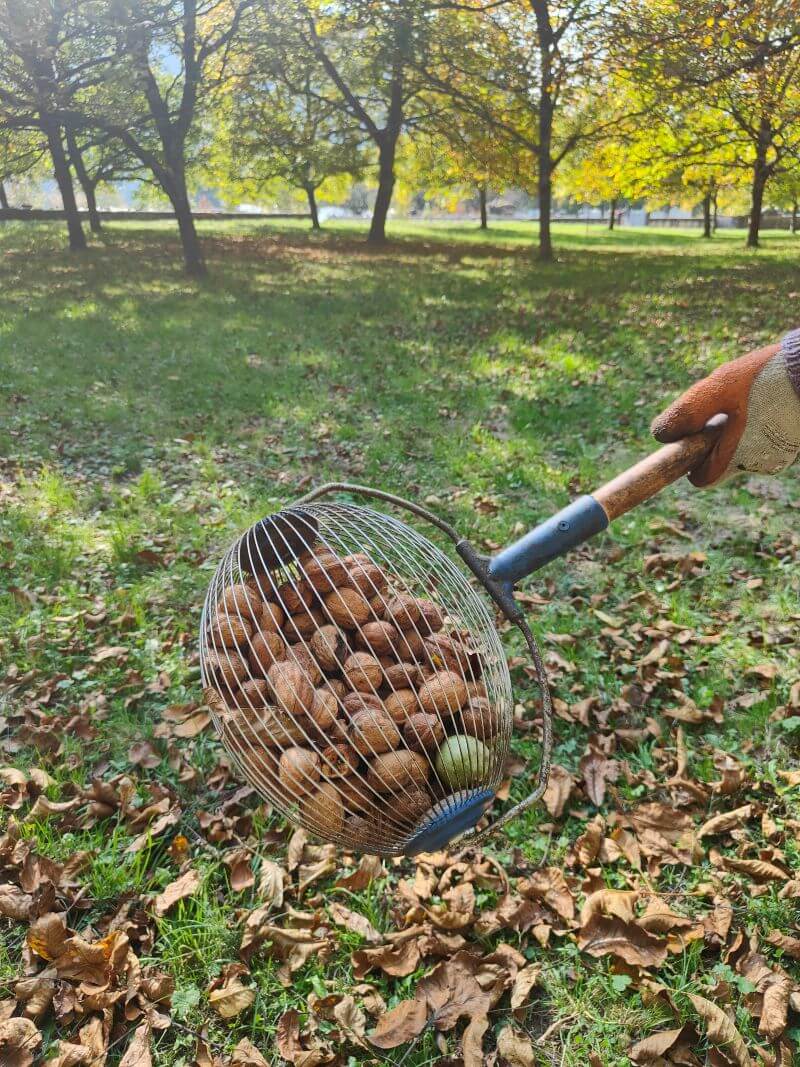 About us img20251017150310(1)