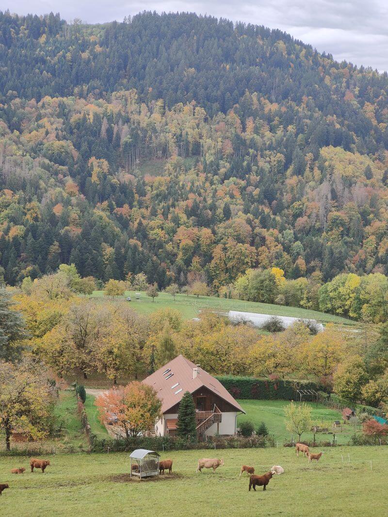 About us img20251021101105(1)