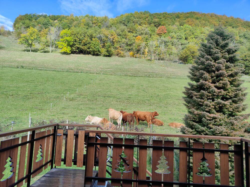 About us img20251022134642(1)