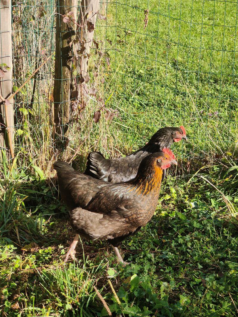 About us img20251028092448(1)